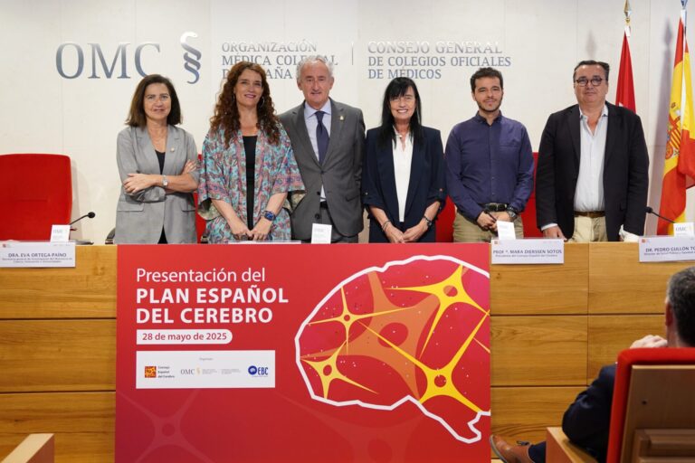Estos son cinco ejes del nuevo Plan Español del Cerebro que trata de mejorar la salud del 43% de la población