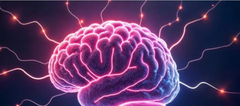 Un petabyte de almacenamiento, 70.000 pensamientos al día… así es el cerebro, un órgano aun por descubrir