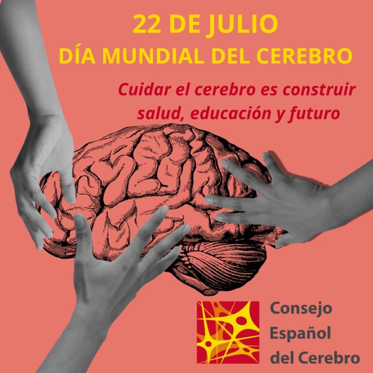 El Consejo Español del Cerebro conmemora el Día Mundial del Cerebro destacando la urgencia de impulsar políticas integrales en salud cerebral
