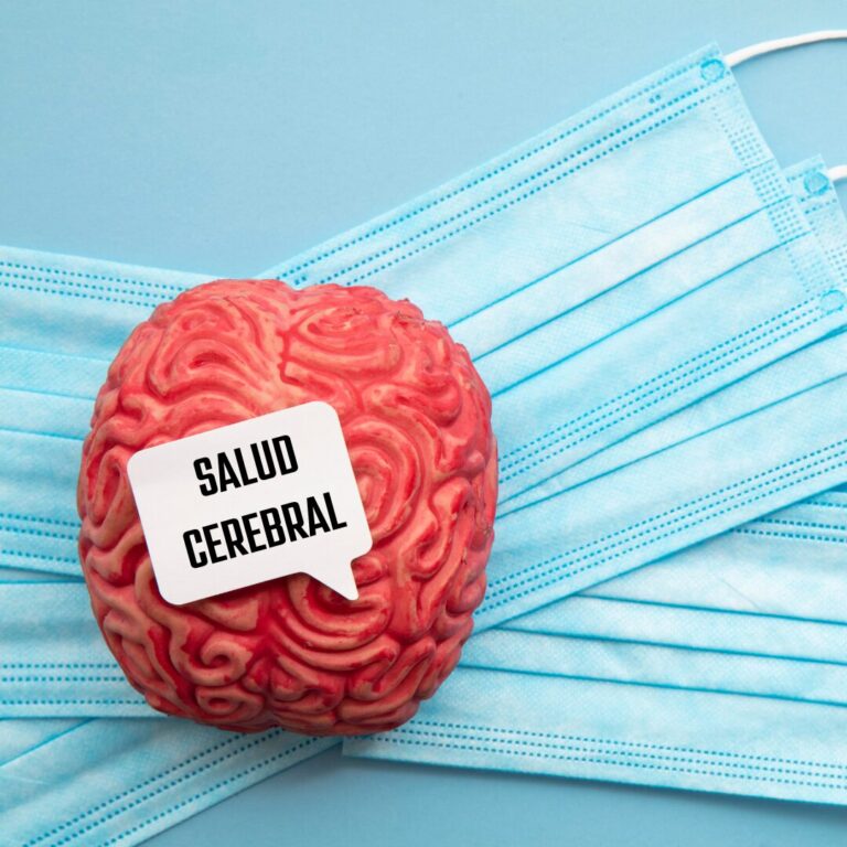 Declaración de Berna sobre la Salud Cerebral