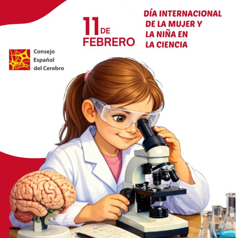 El Consejo Español del Cerebro conmemora el Día Internacional de la Mujer y la Niña en la Ciencia
